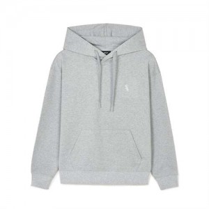 MLB Basic Small Logo Overfit Hoodie Grey | USA_MLB39364