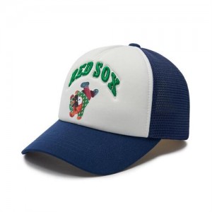 MLB Megabear Point Mesh Cap Navy | USA_MLB15764