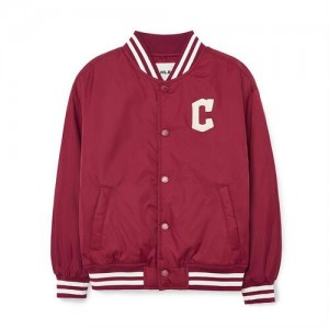 MLB Varsity Nylon Baseball Jp Outerwear Red | USA_MLB82296