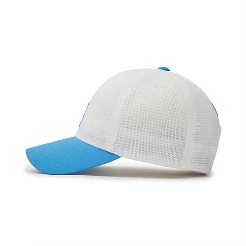 MLB All Mesh Cap White / Blue | USA_MLB36175