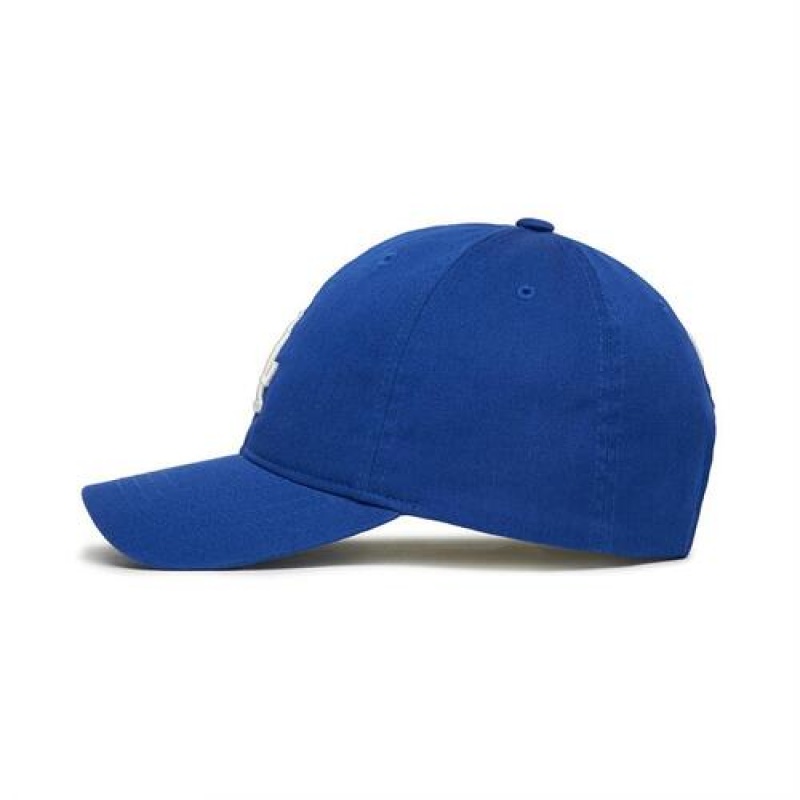 MLB Baisc Cap Blue | USA_MLB58272