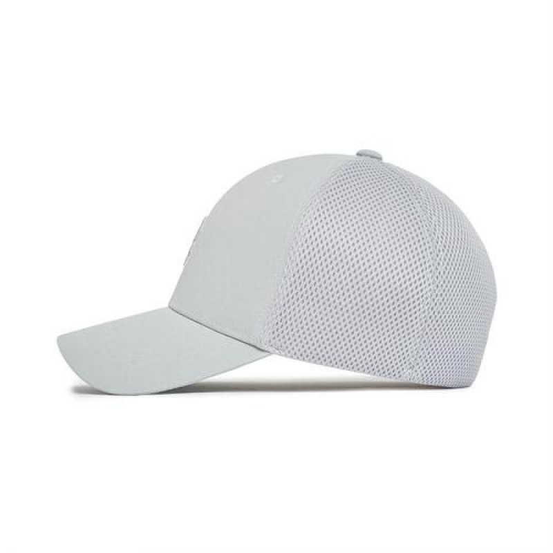 MLB Basic Flex Baseball Caps Grey | USA_MLB31415