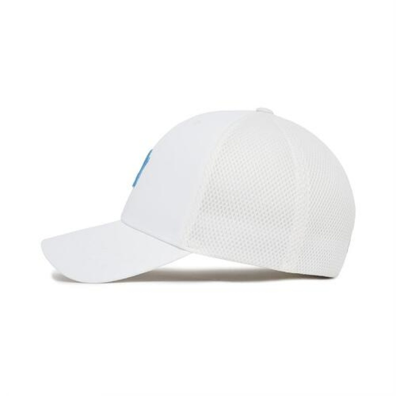 MLB Basic Flex Baseball Caps White | USA_MLB33235