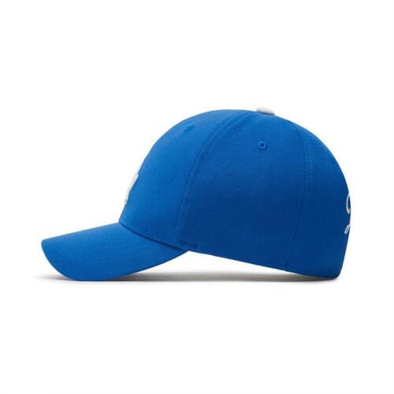 MLB Basic Team Cap Blue | USA_MLB78317